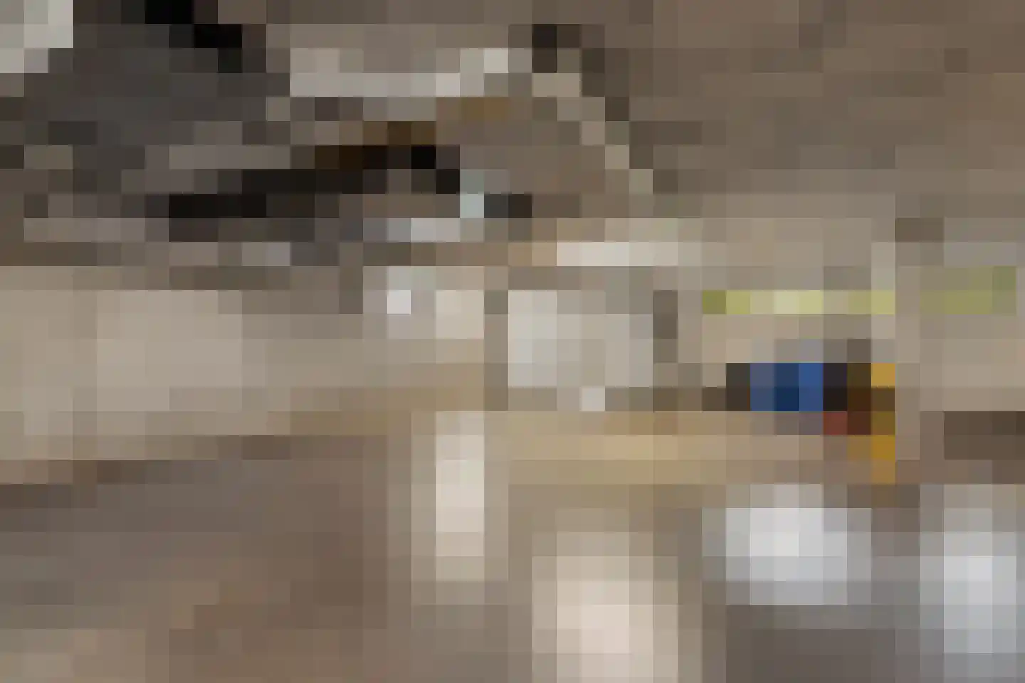 Wilhelmus Peekhof 115 Odijk thumbnail 50
