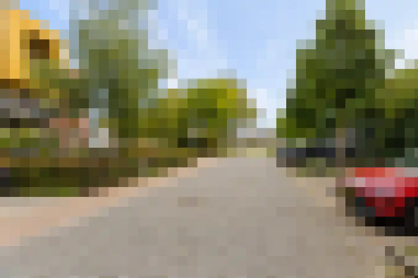 Wilhelmus Peekhof 115 Odijk thumbnail 52
