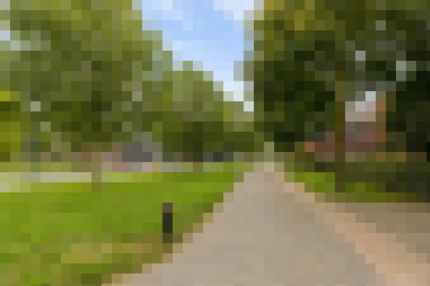 Wilhelmus Peekhof 115 Odijk thumbnail 53