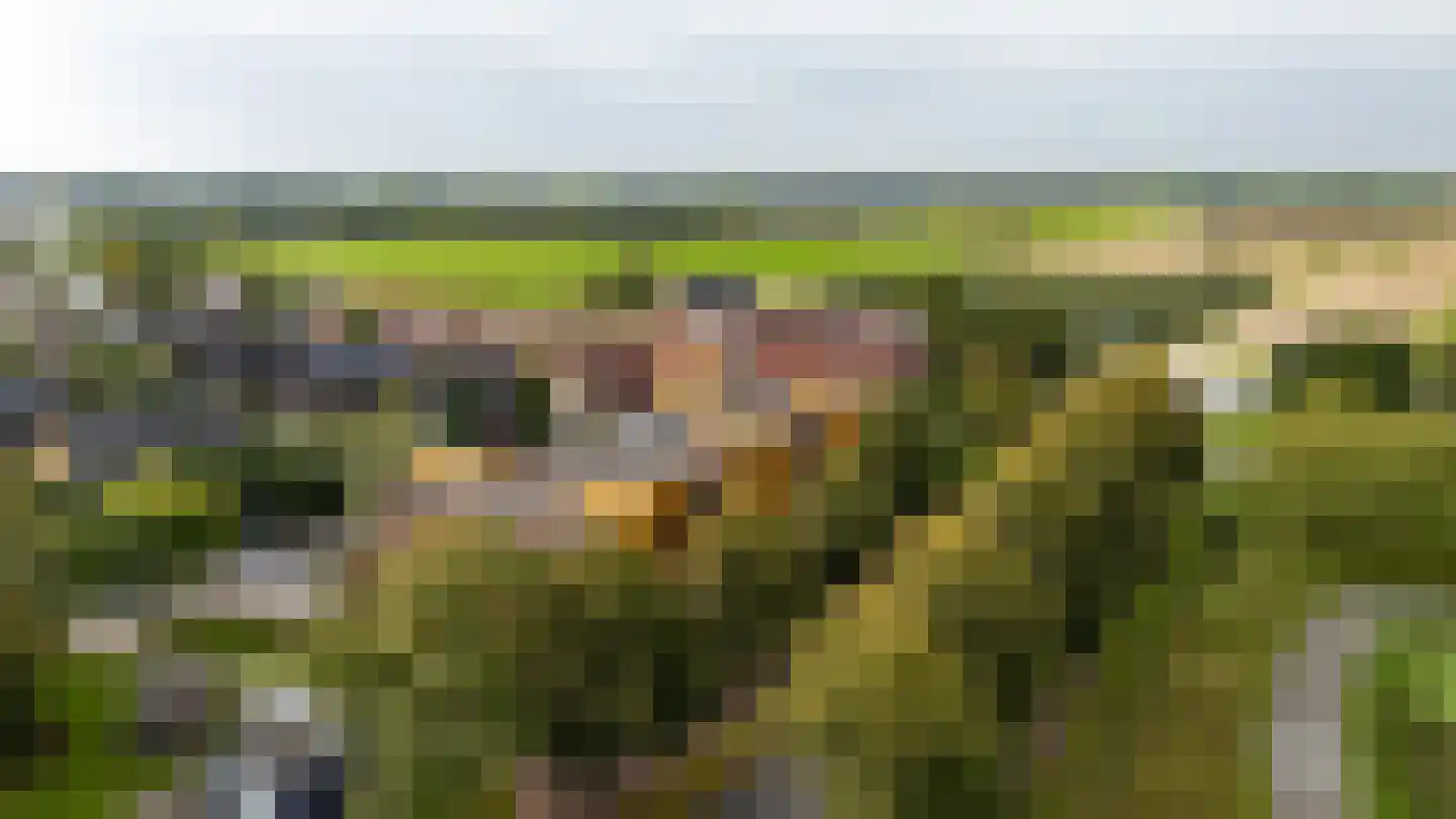 Wilhelmus Peekhof 115 Odijk thumbnail 55