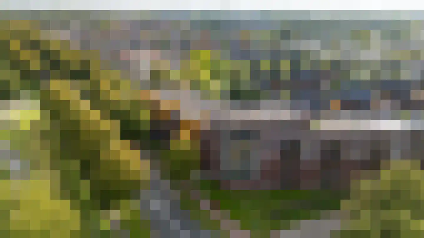 Wilhelmus Peekhof 115 Odijk thumbnail 56