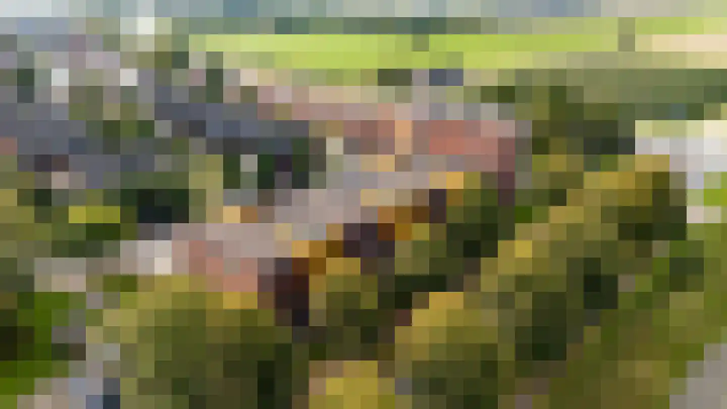 Wilhelmus Peekhof 115 Odijk thumbnail 57