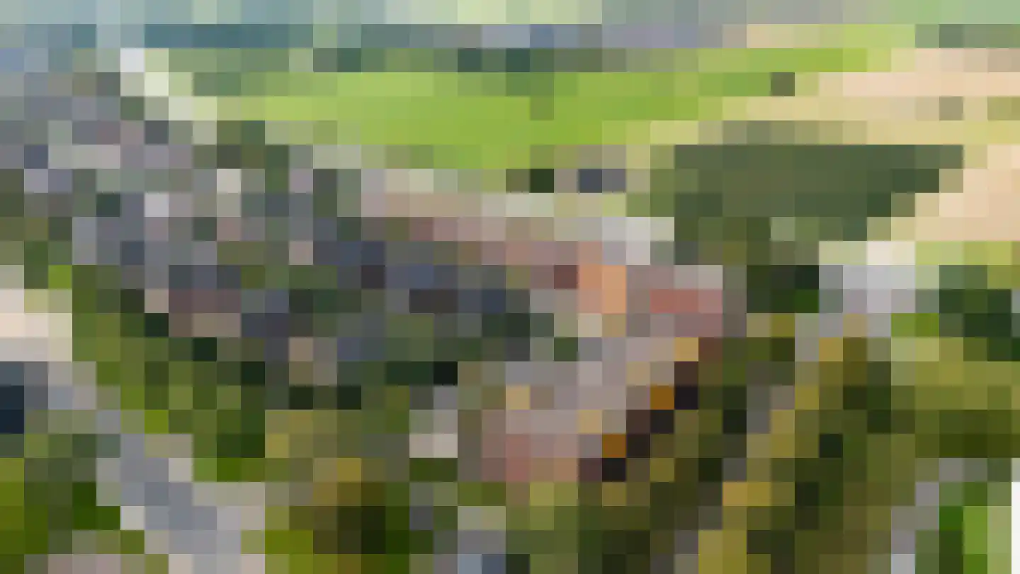 Wilhelmus Peekhof 115 Odijk thumbnail 58