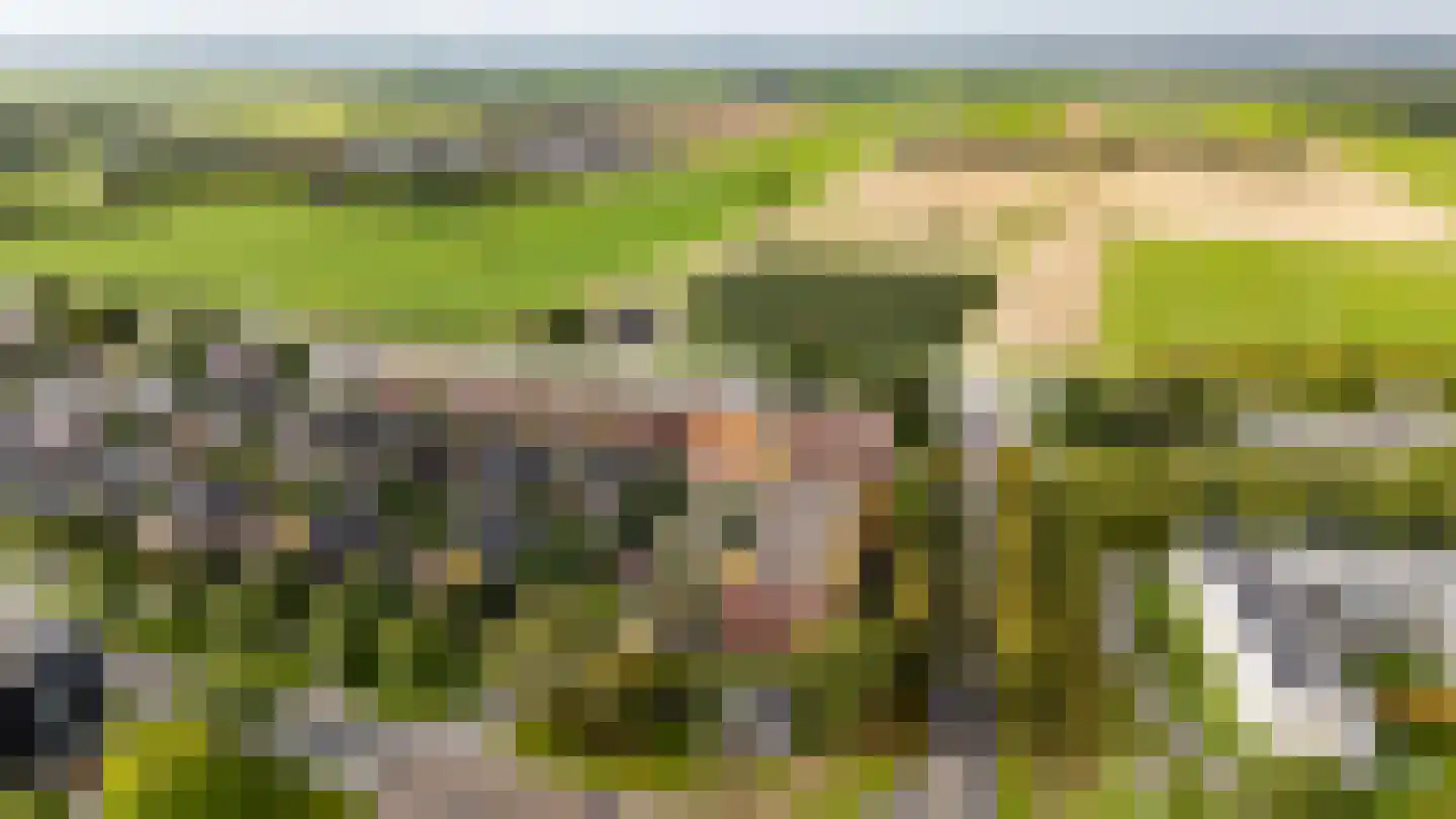 Wilhelmus Peekhof 115 Odijk thumbnail 59