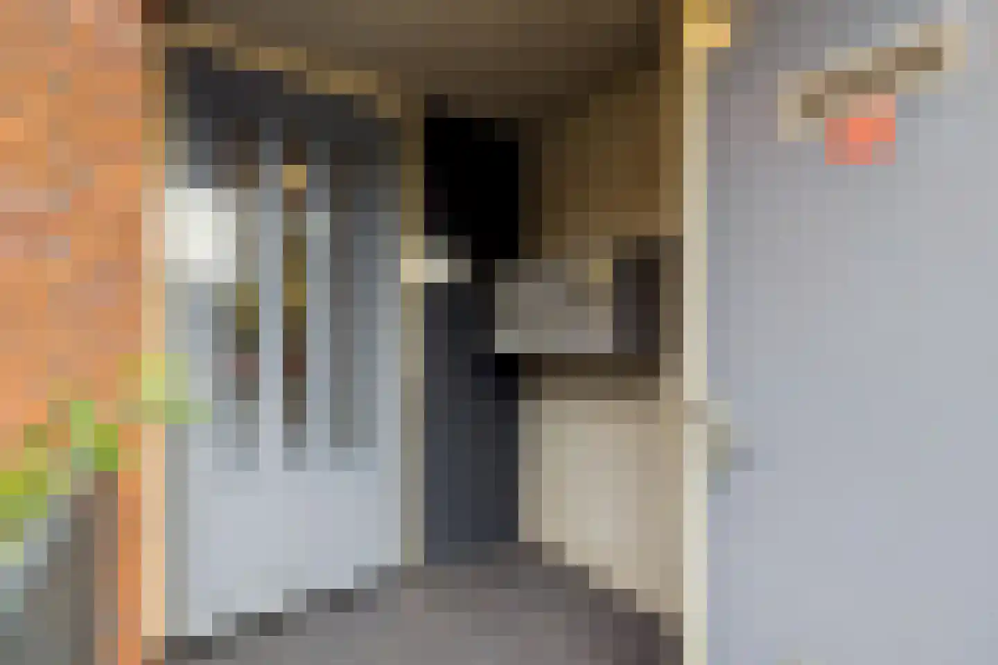 Wilhelmus Peekhof 115 Odijk thumbnail 6