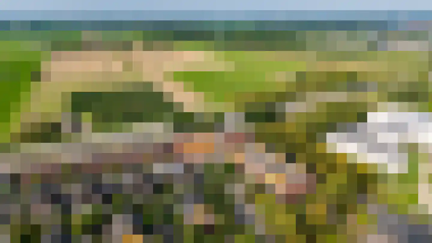 Wilhelmus Peekhof 115 Odijk thumbnail 60