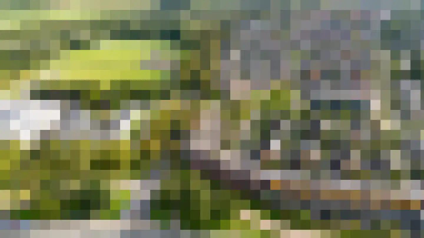 Wilhelmus Peekhof 115 Odijk thumbnail 61