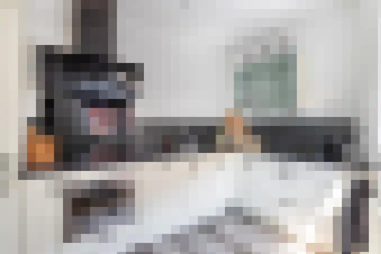 Wilhelmus Peekhof 45 Odijk thumbnail 10