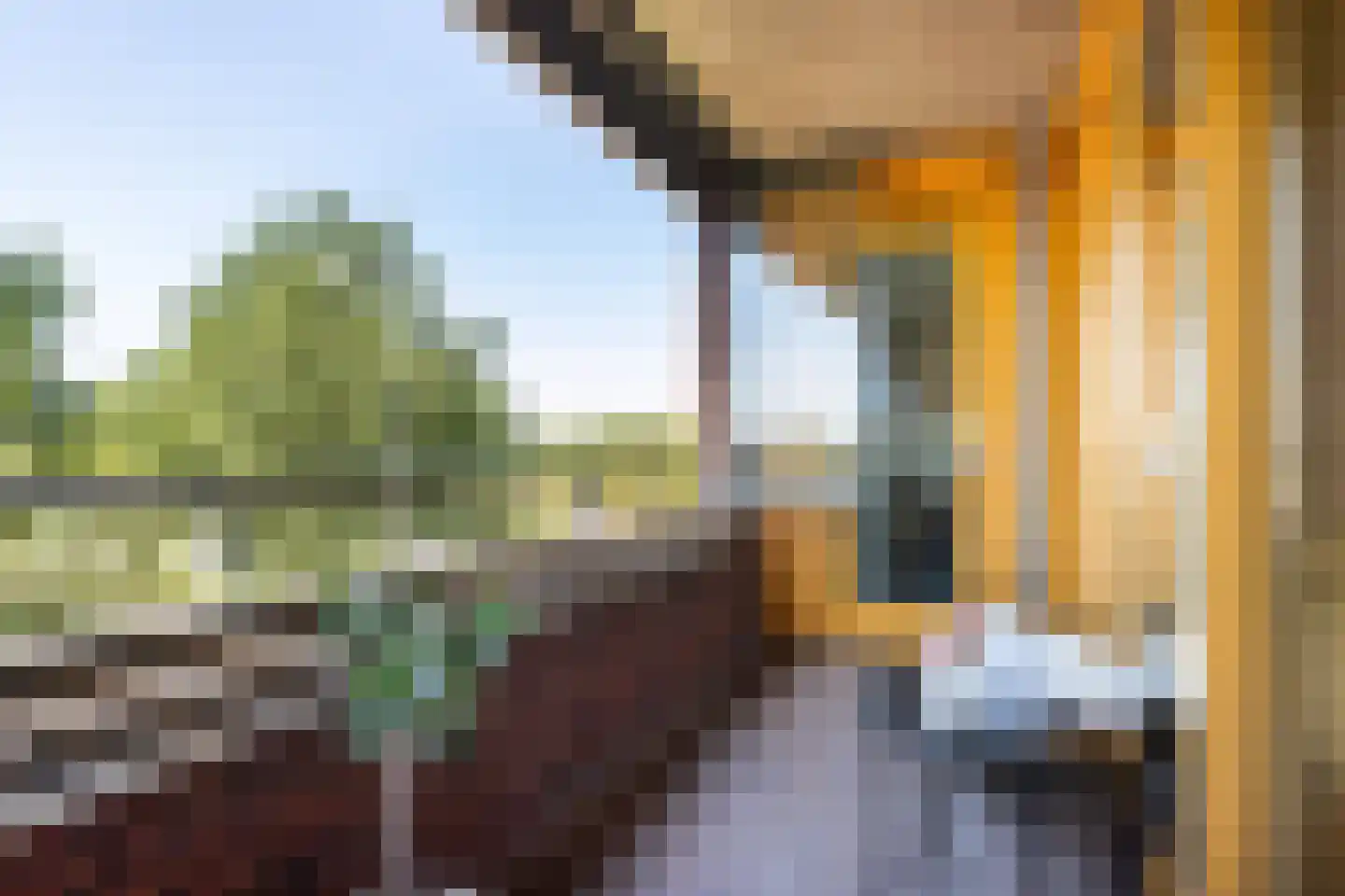 Wilhelmus Peekhof 45 Odijk thumbnail 13