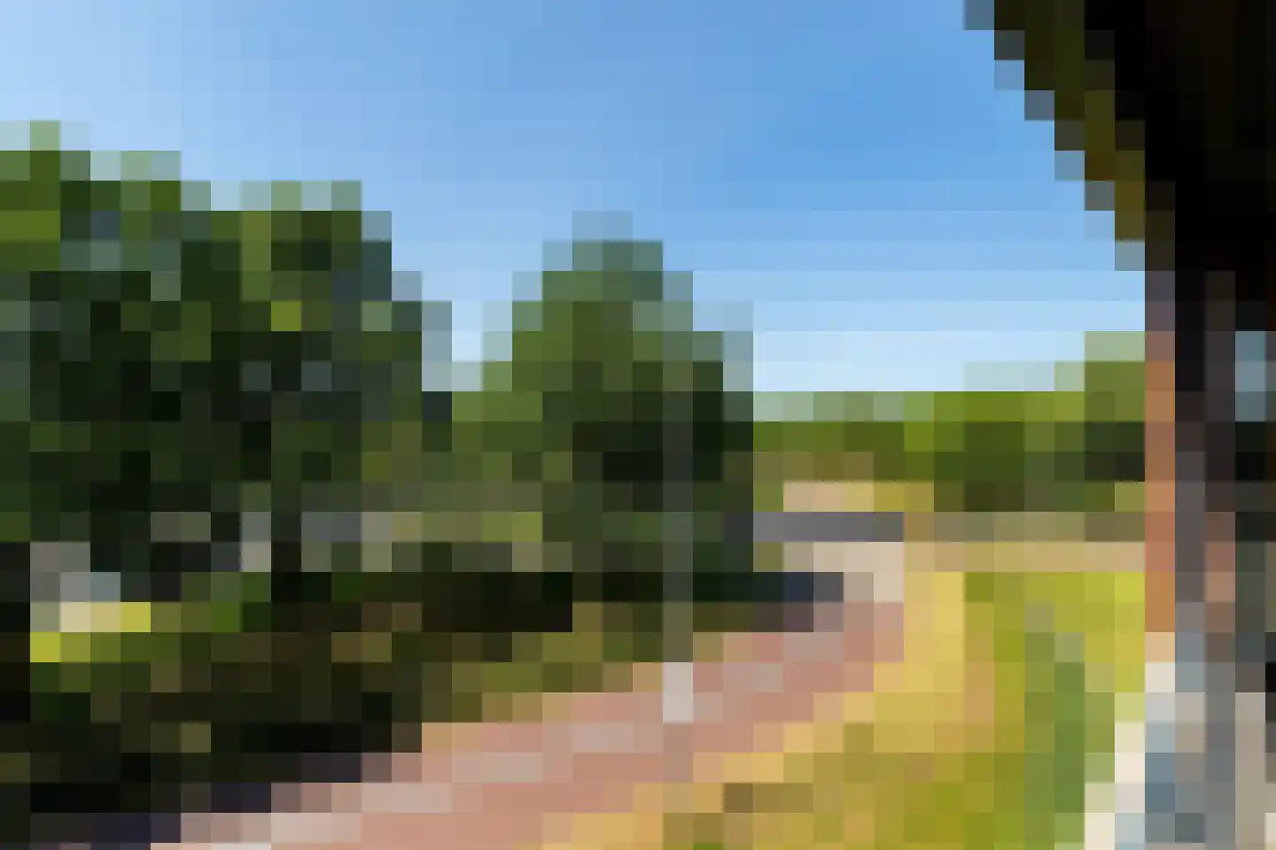 Wilhelmus Peekhof 45 Odijk thumbnail 14