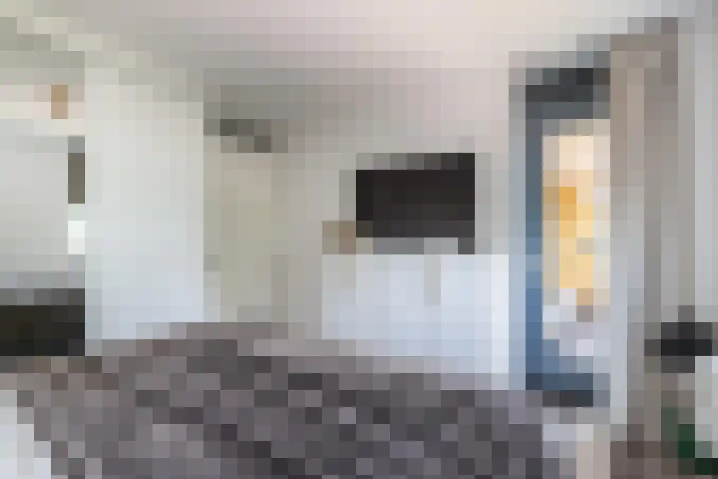 Wilhelmus Peekhof 45 Odijk thumbnail 16