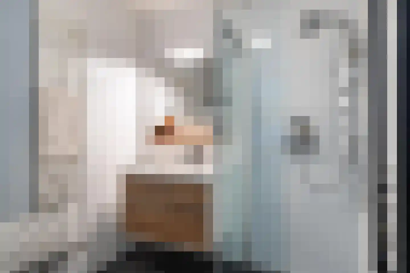Wilhelmus Peekhof 45 Odijk thumbnail 18