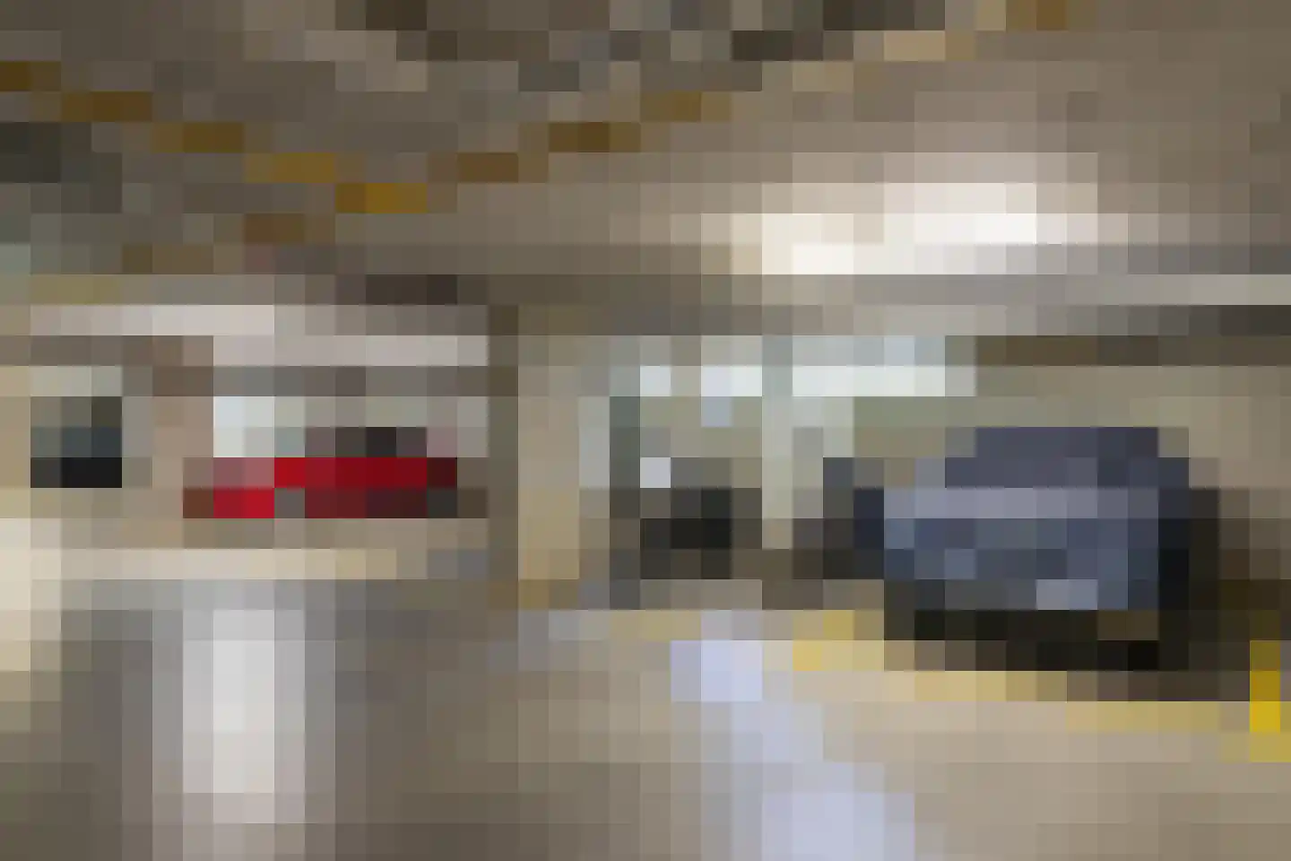 Wilhelmus Peekhof 45 Odijk thumbnail 24