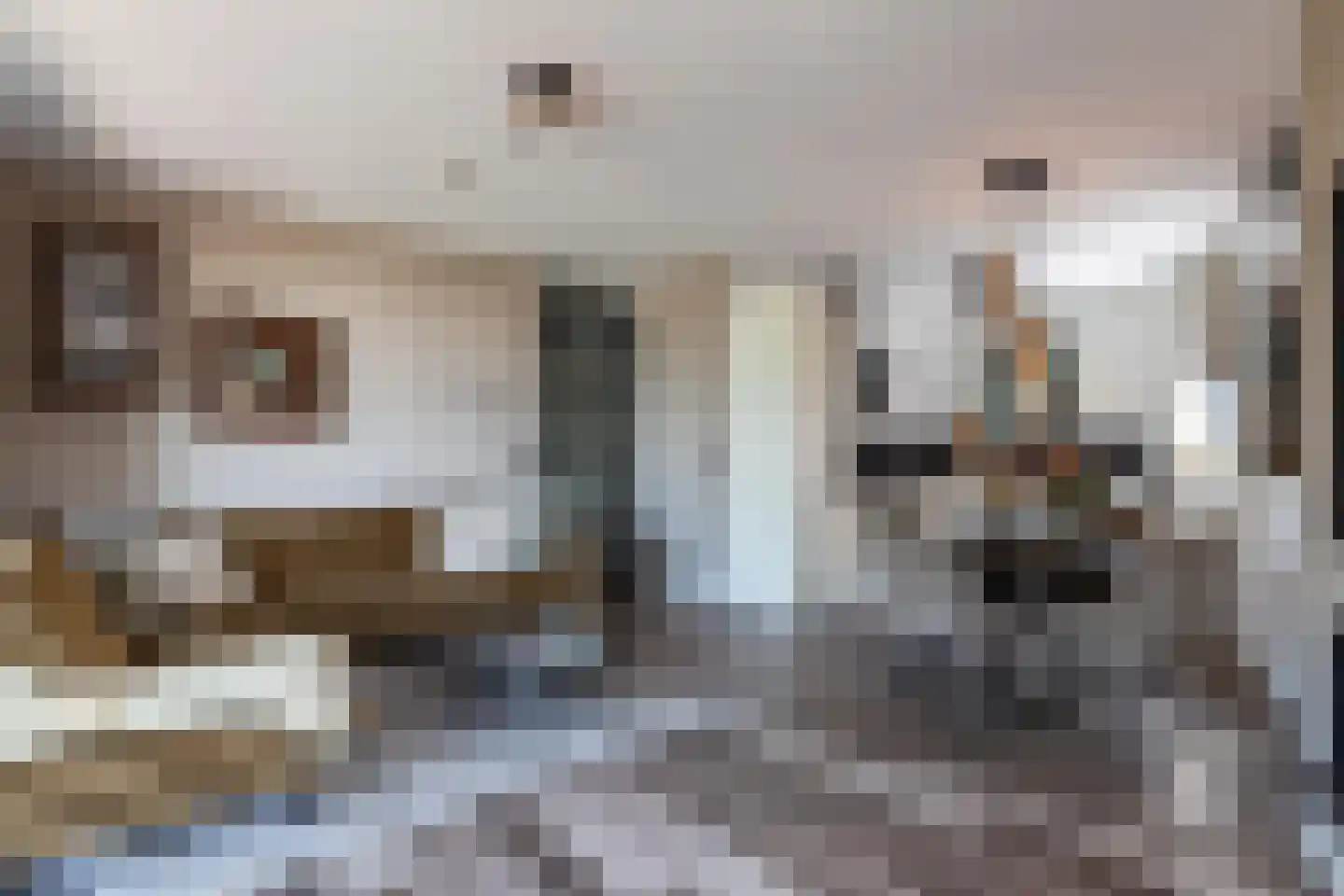 Wilhelmus Peekhof 45 Odijk thumbnail 6