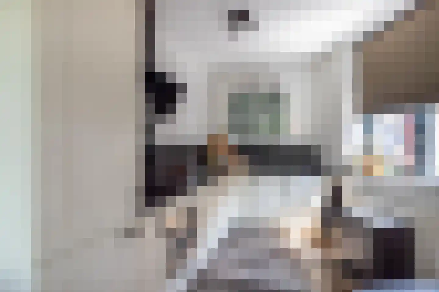 Wilhelmus Peekhof 45 Odijk thumbnail 9