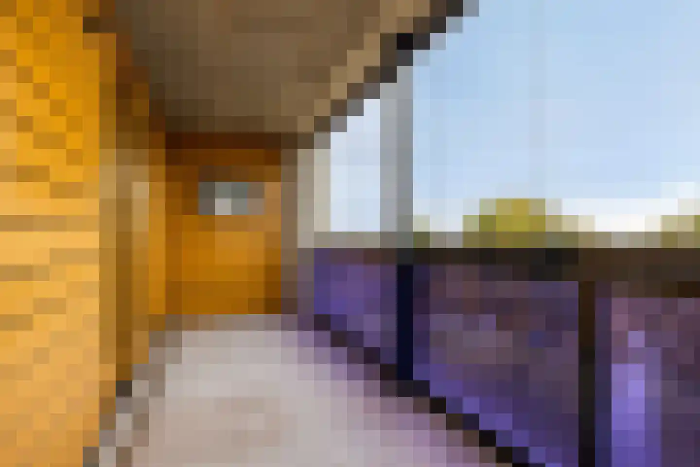 Wilhelmus Peekhof 67 Odijk thumbnail 22