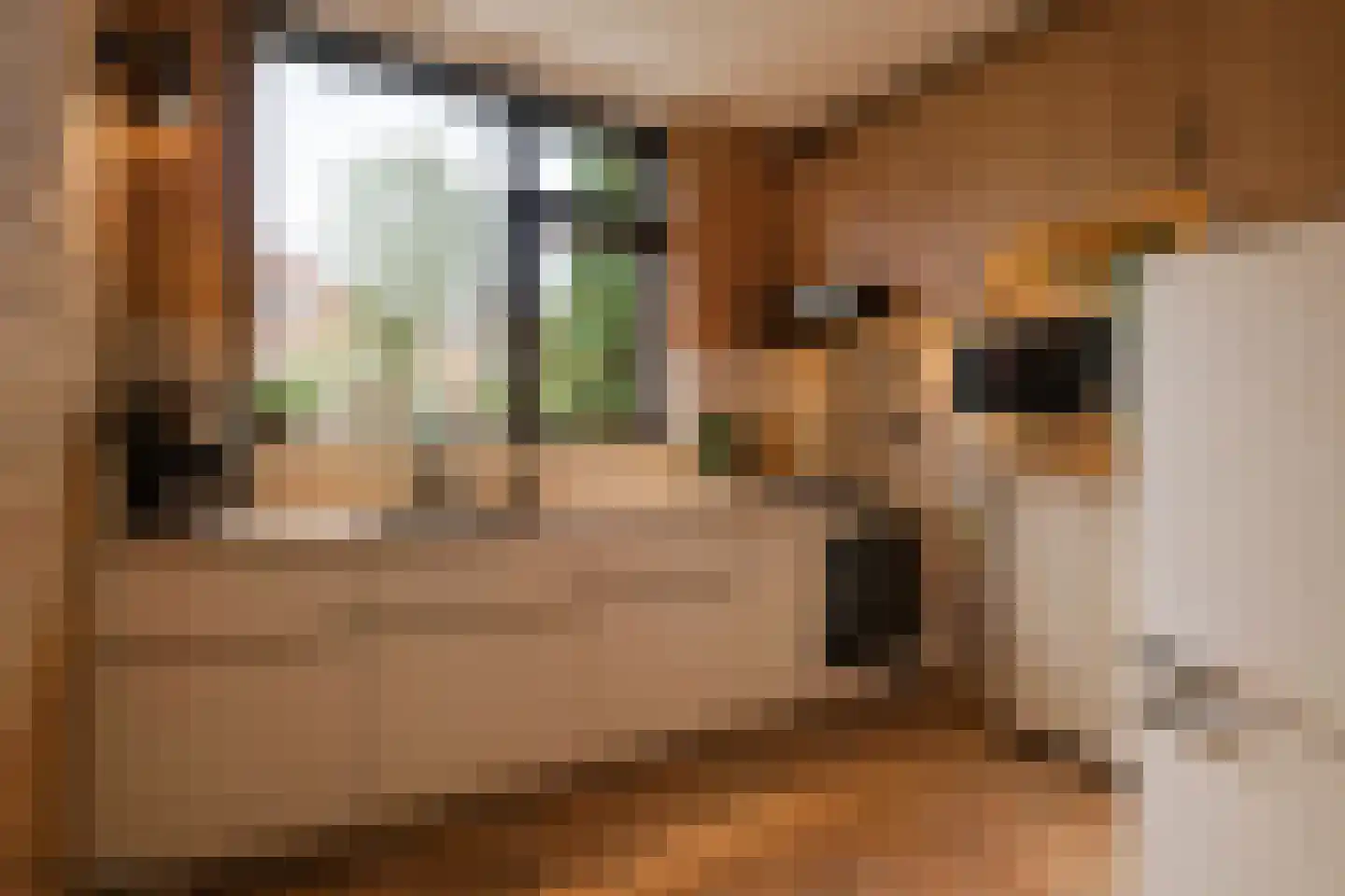 Wilkemaheerd 34 Groningen thumbnail 15
