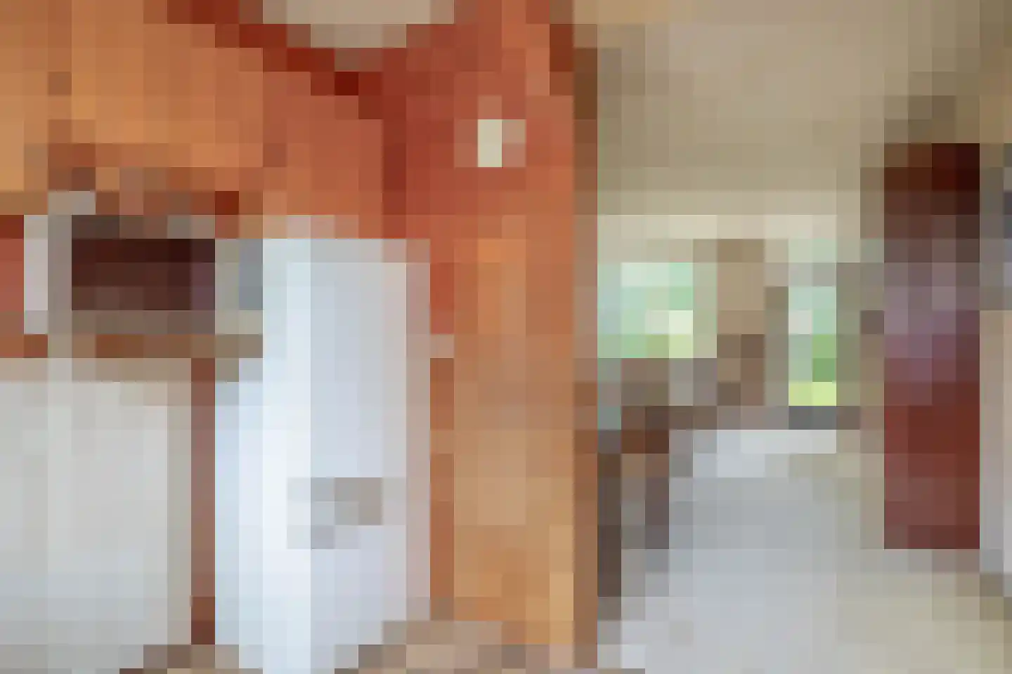 Wilkemaheerd 34 Groningen thumbnail 17