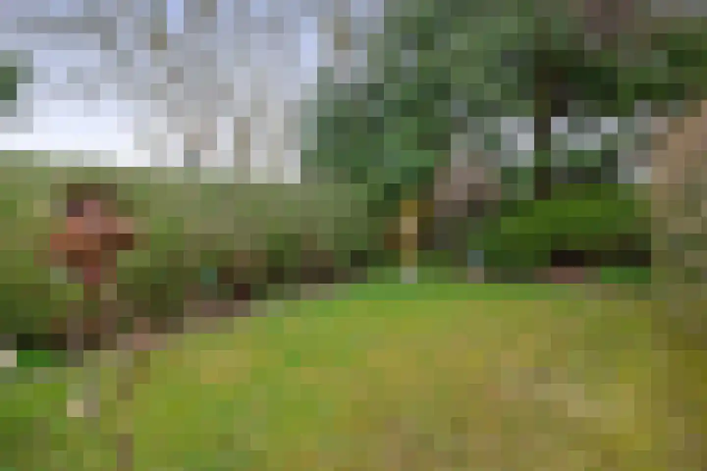 Wilkemaheerd 34 Groningen thumbnail 20