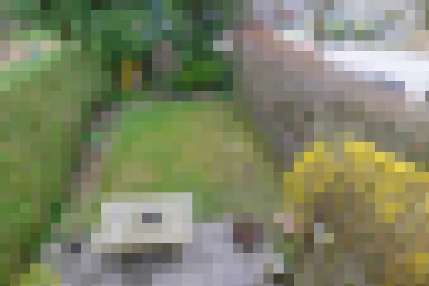 Wilkemaheerd 34 Groningen thumbnail 23