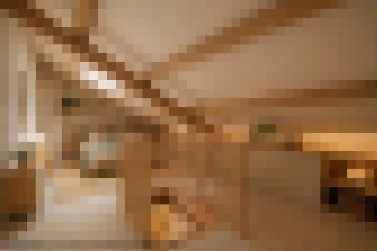 Wilkemaheerd 34 Groningen thumbnail 30