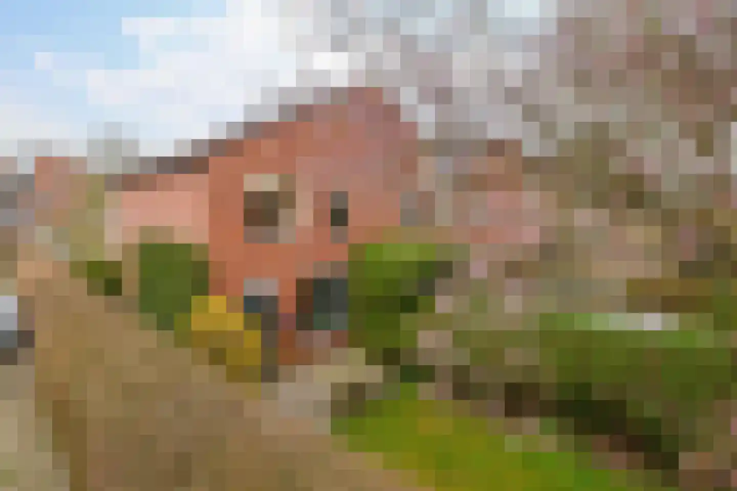 Wilkemaheerd 34 Groningen thumbnail 4