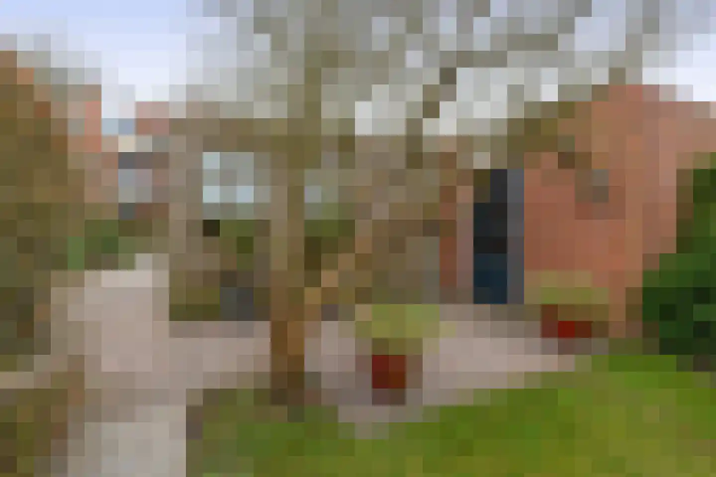 Wilkemaheerd 34 Groningen thumbnail 6