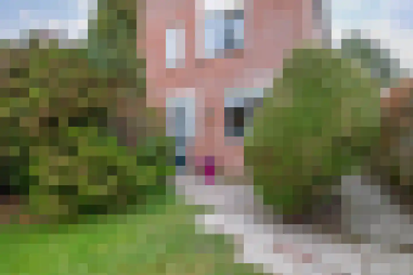 Wilkemaheerd 34 Groningen thumbnail 9