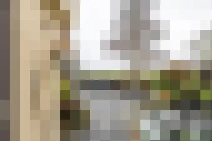 Wilkemaheerd 56 Groningen thumbnail 36