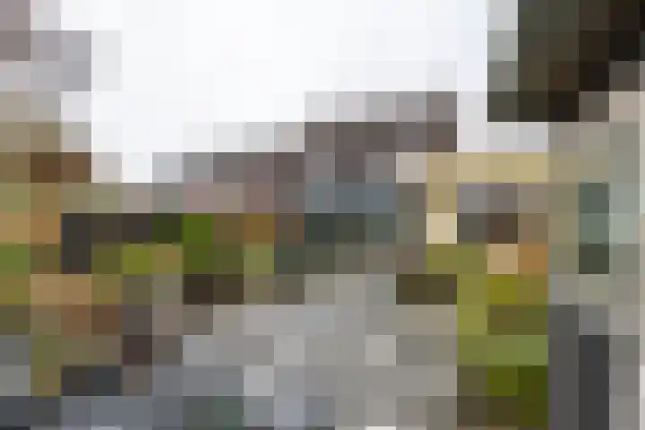 Wilkemaheerd 56 Groningen thumbnail 38