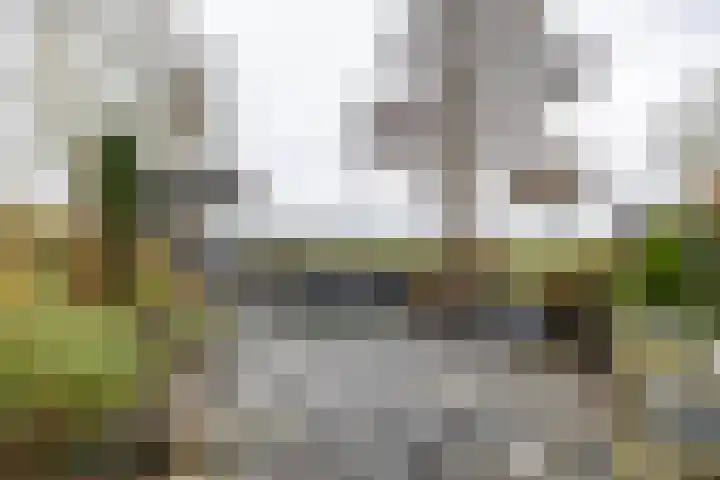 Wilkemaheerd 56 Groningen thumbnail 4