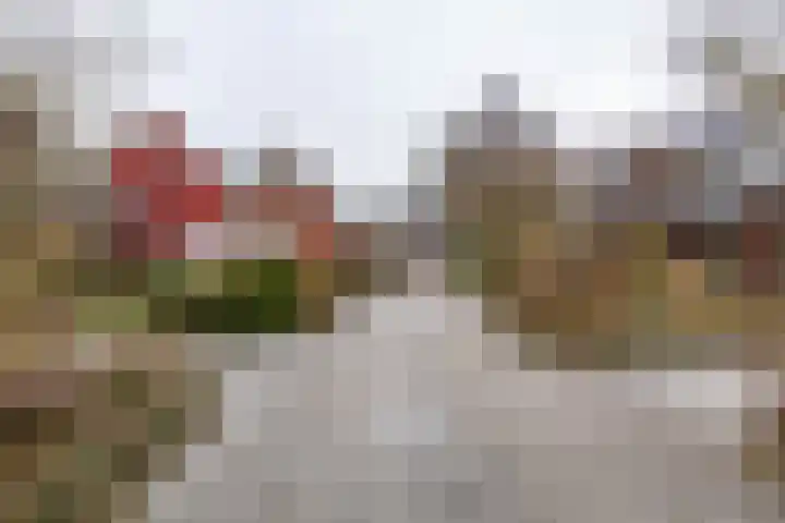 Wilkemaheerd 56 Groningen thumbnail 40