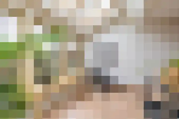 Wilkemaheerd 62 Groningen thumbnail 15