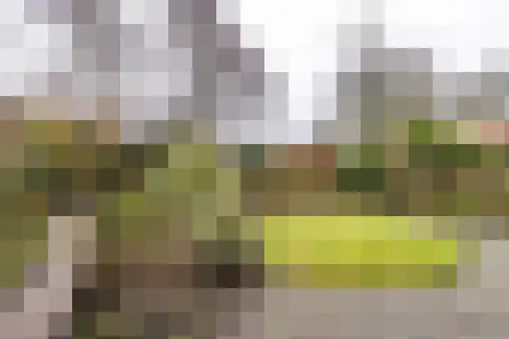 Wilkemaheerd 62 Groningen thumbnail 19