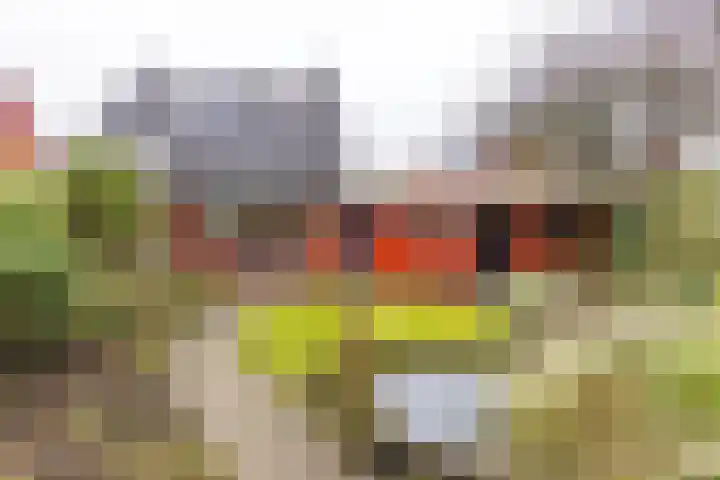 Wilkemaheerd 62 Groningen thumbnail 20