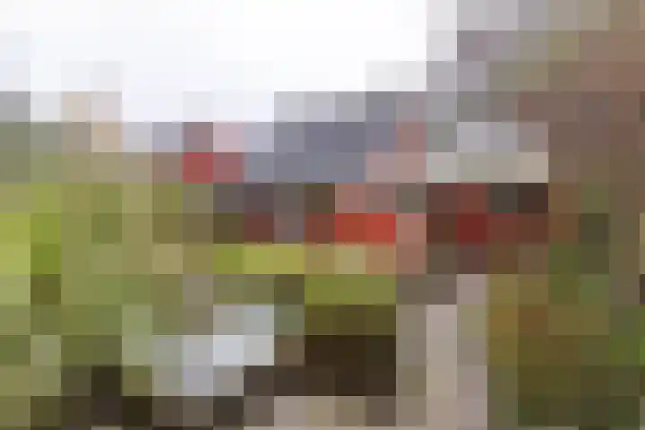 Wilkemaheerd 62 Groningen thumbnail 21
