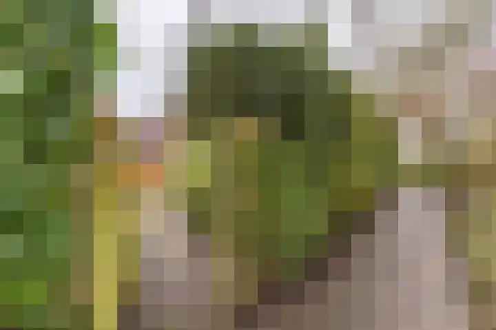 Wilkemaheerd 62 Groningen thumbnail 22