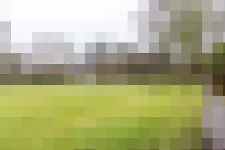 Wilkemaheerd 62 Groningen thumbnail 23