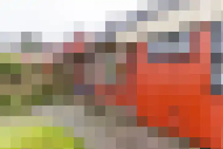 Wilkemaheerd 62 Groningen thumbnail 24