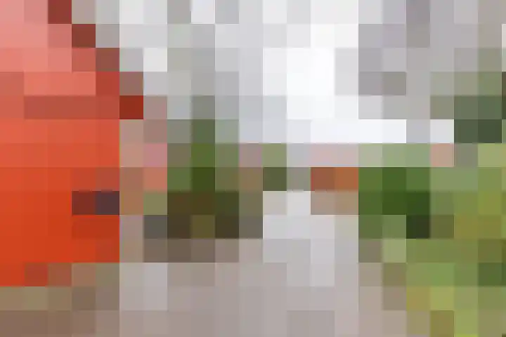 Wilkemaheerd 62 Groningen thumbnail 28