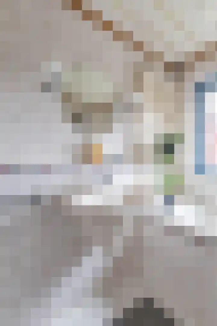 Wilkemaheerd 62 Groningen thumbnail 37