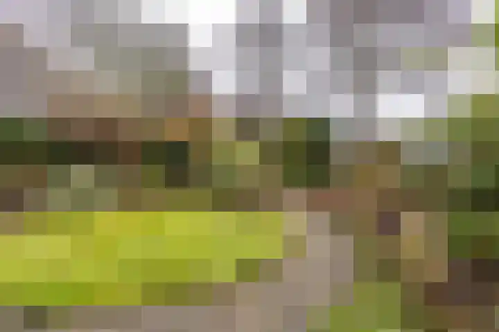 Wilkemaheerd 62 Groningen thumbnail 4