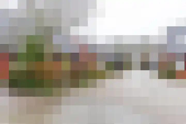 Wilkemaheerd 62 Groningen thumbnail 40