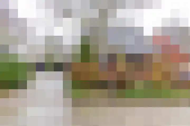 Wilkemaheerd 62 Groningen thumbnail 41