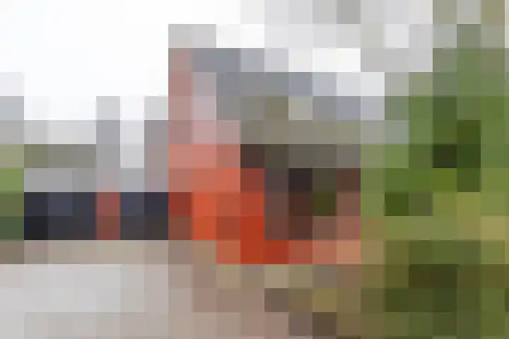 Wilkemaheerd 62 Groningen thumbnail 5