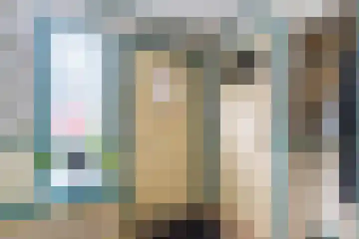 Wilkemaheerd 62 Groningen thumbnail 6