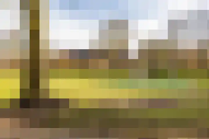 Wilkemaheerd 63 a Groningen thumbnail 11
