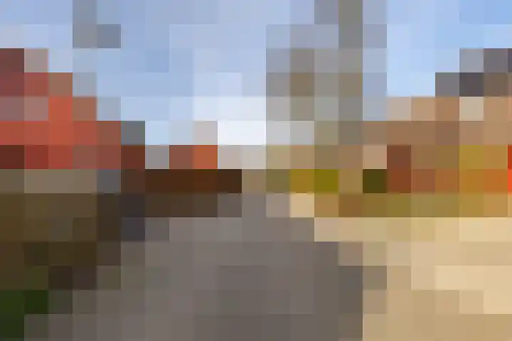 Wilkemaheerd 63 a Groningen thumbnail 13
