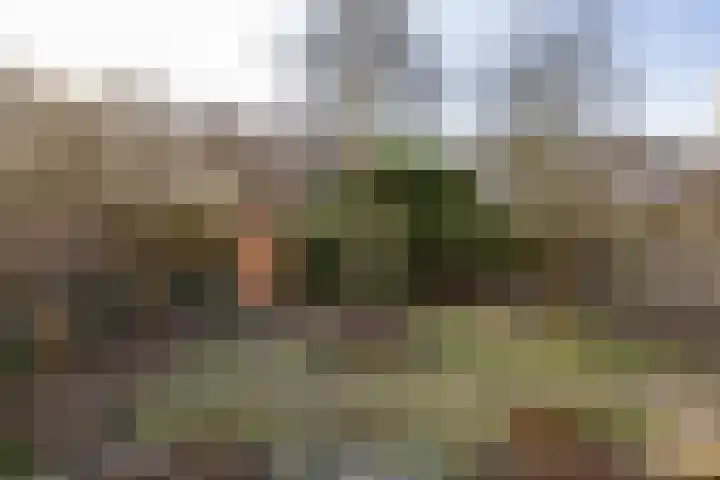 Wilkemaheerd 63 a Groningen thumbnail 29