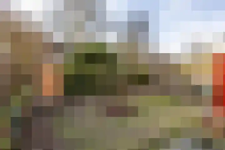 Wilkemaheerd 63 a Groningen thumbnail 30